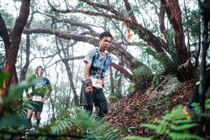 BIB: 
                            <button type="button" onclick="openModal(26295430)" class="btn btn-primary btn-sm float-right btn-popup" data-toggle="modal" data-target=".modal-high-quality">
                        <i class="fas fa-shopping-cart"></i> Add to Cart
                    </button>
                                            <button type="button" onclick="isThisMe(26295430, true)" class="btn btn-success btn-sm float-right btn-popup btn-isme hidden" data-toggle="tooltip" data-placement="bottom" title="นี่คือรูปของคุณใช่ไหม คลิกที่นี่เพื่อเอาเข้าอัลบั้ม">
                        <i class="fas fa-plus"></i> Add to album
                    </button>
                    <button type="button" onclick="isThisMe(26295430, false)" class="btn btn-warning btn-sm float-right btn-popup btn-isnotme hidden">
                        <i class="fas fa-ban"></i> Remove from album
                    </button>